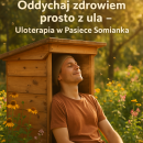 Voucher na seans Uloterapii / dla jednej osoby/ 60 min