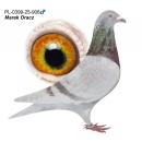 PL-0399-25-906 - oryg. Marek Oracz (100% Ireneusz Kowalczyk)