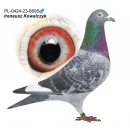 PL-0424-23-6695 - Porsche Mustang x Porsche Dakar - CERTYFIKAT DNA!!!!