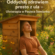 Voucher na seans Uloterapii / dla jednej osoby/ 60 min