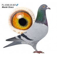 PL-0399-25-907 - oryg. Marek Oracz (100% Ireneusz Kowalczyk)